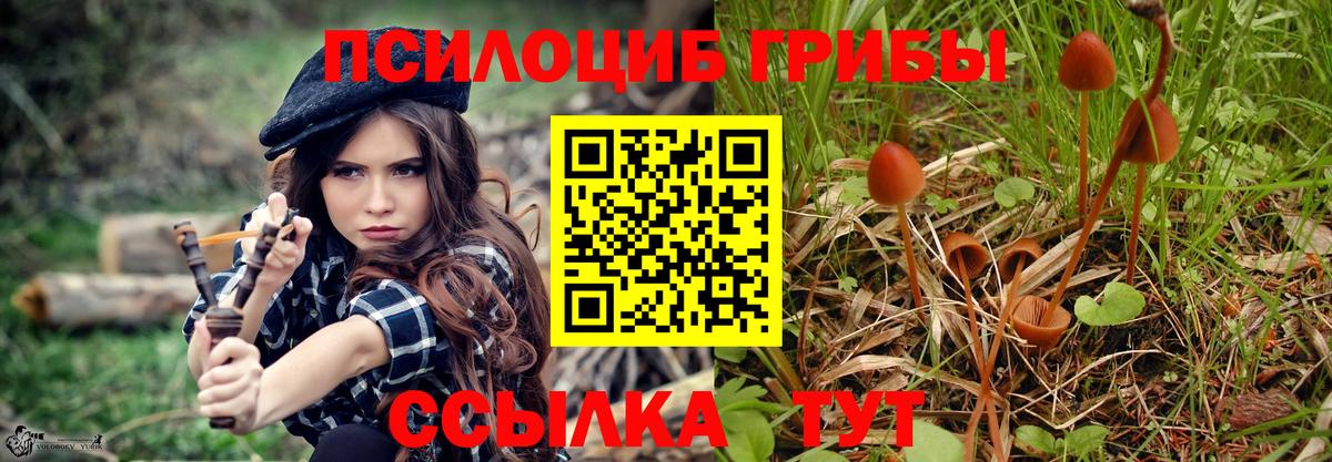 Лыткарино  Галлюциногенные грибы GOLDEN TEACHER  Вход с VPN 